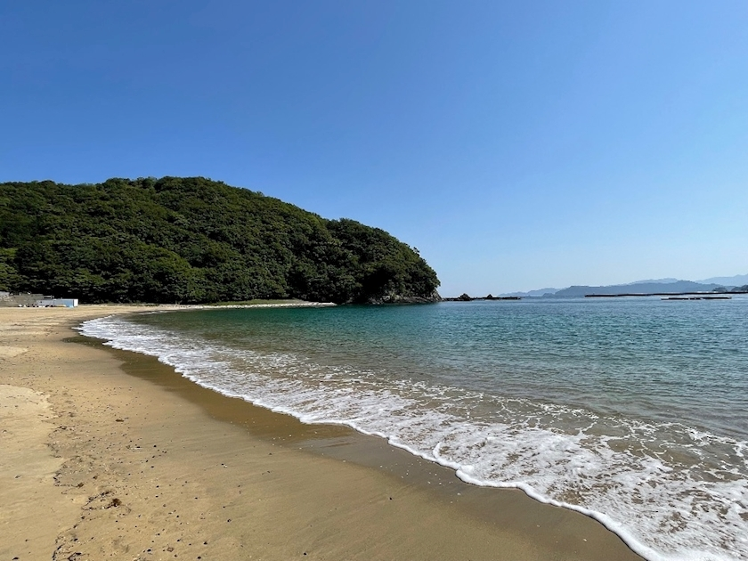 朝倉 しおり