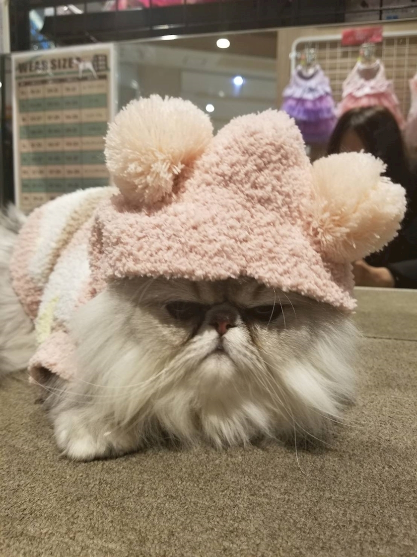 琶月 さな