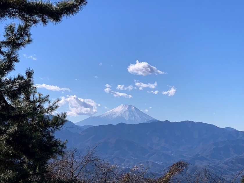 あみ