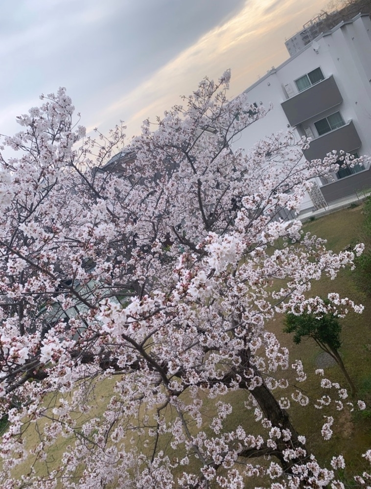 響