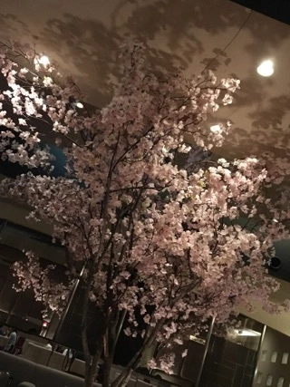 蓮見 リア