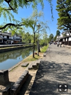 桜花 楓