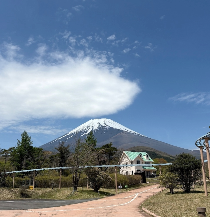 りな