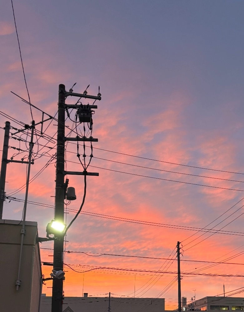 香川 ゆい