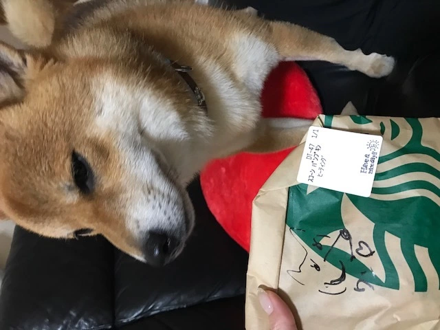 藤咲 りな
