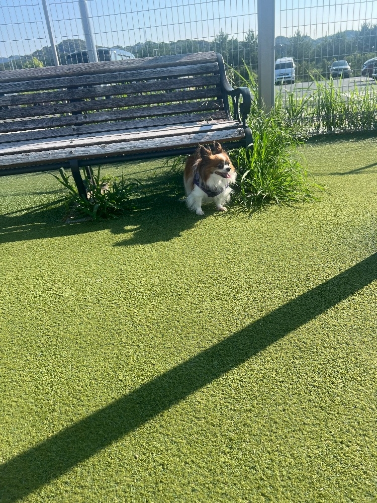 あいら