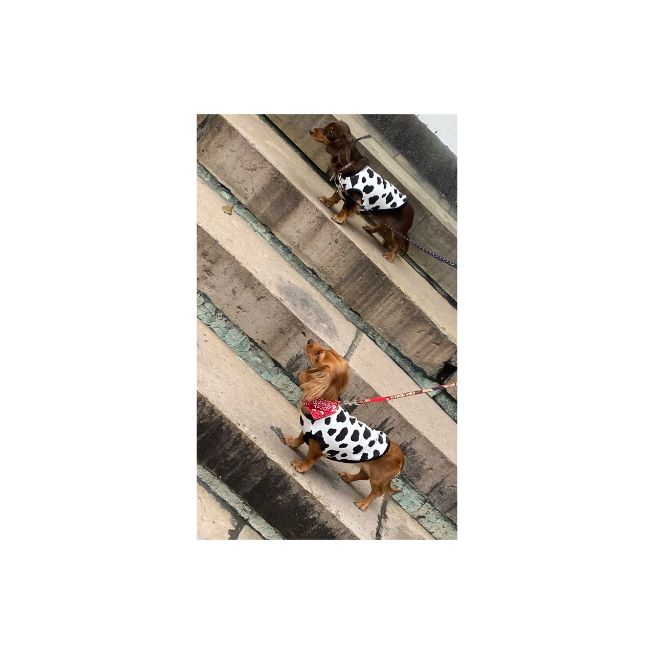 れな