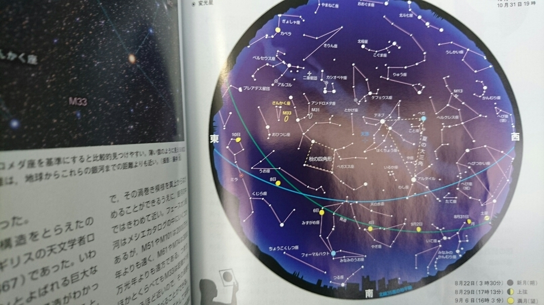 五条 椿