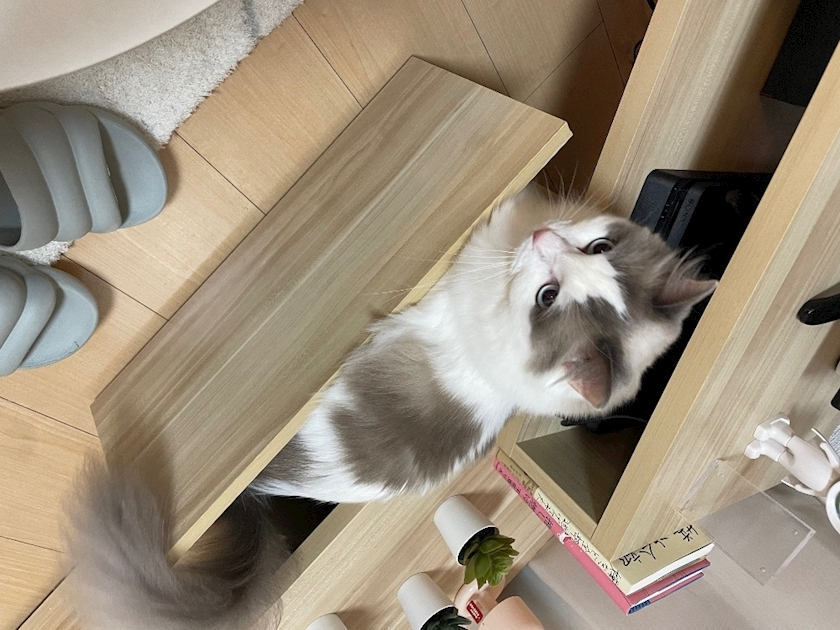 辻 みなみ
