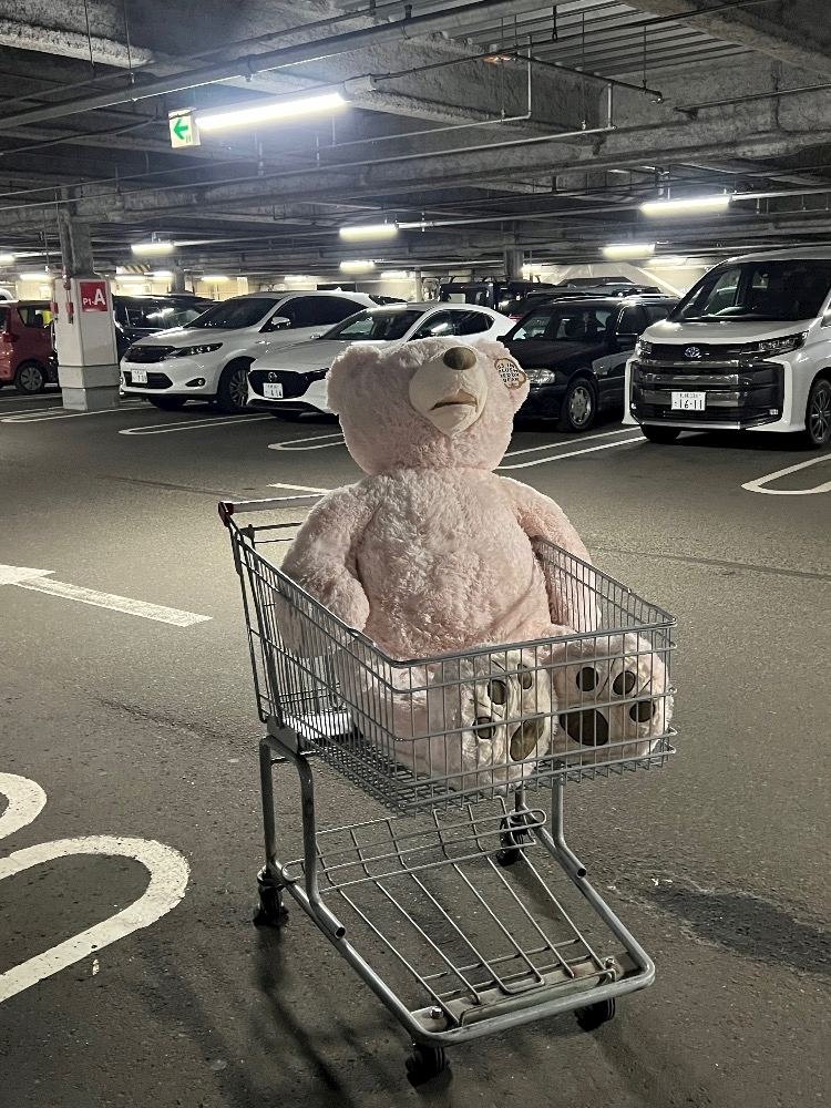 上条 ゆうな