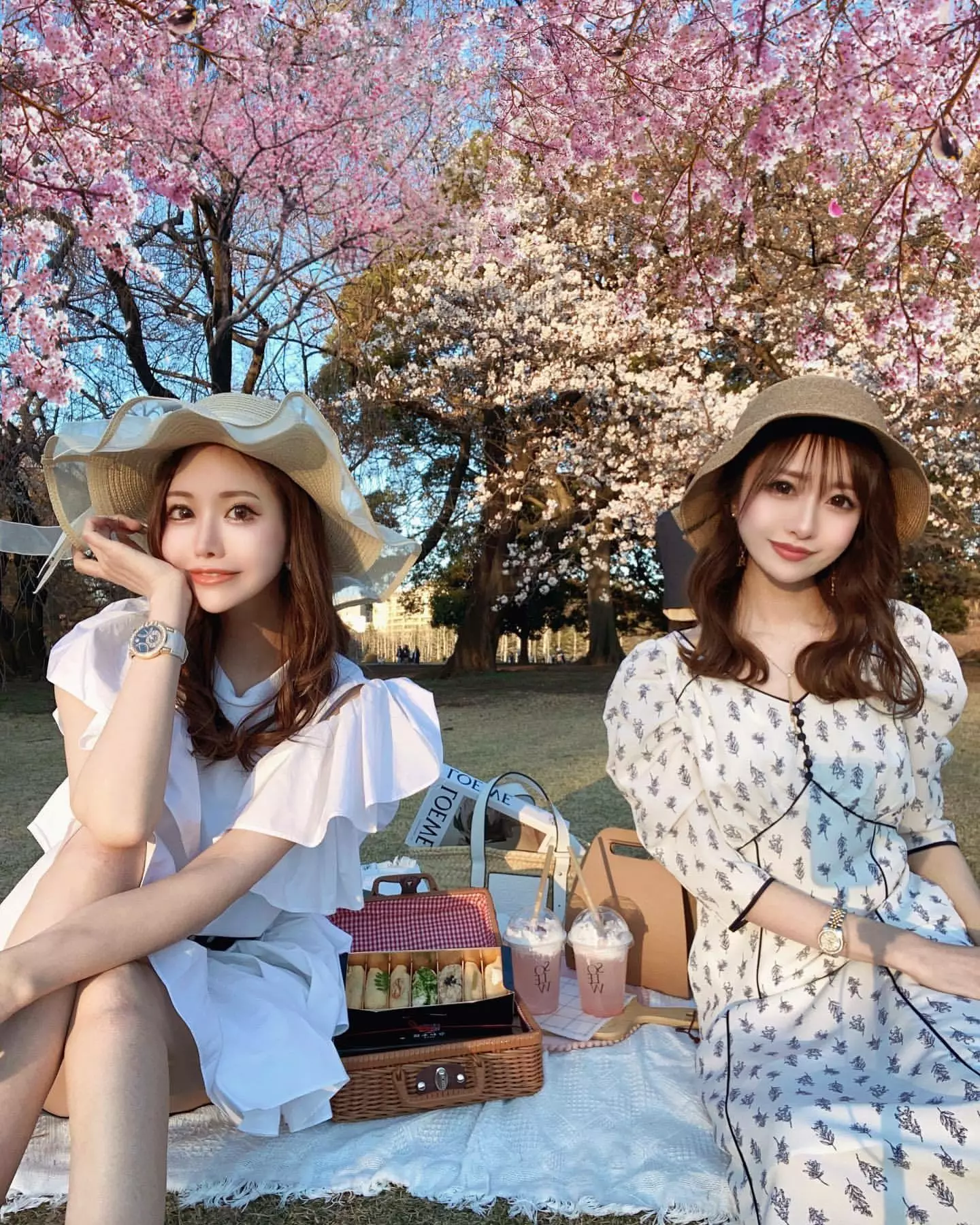 桜 ゆみ