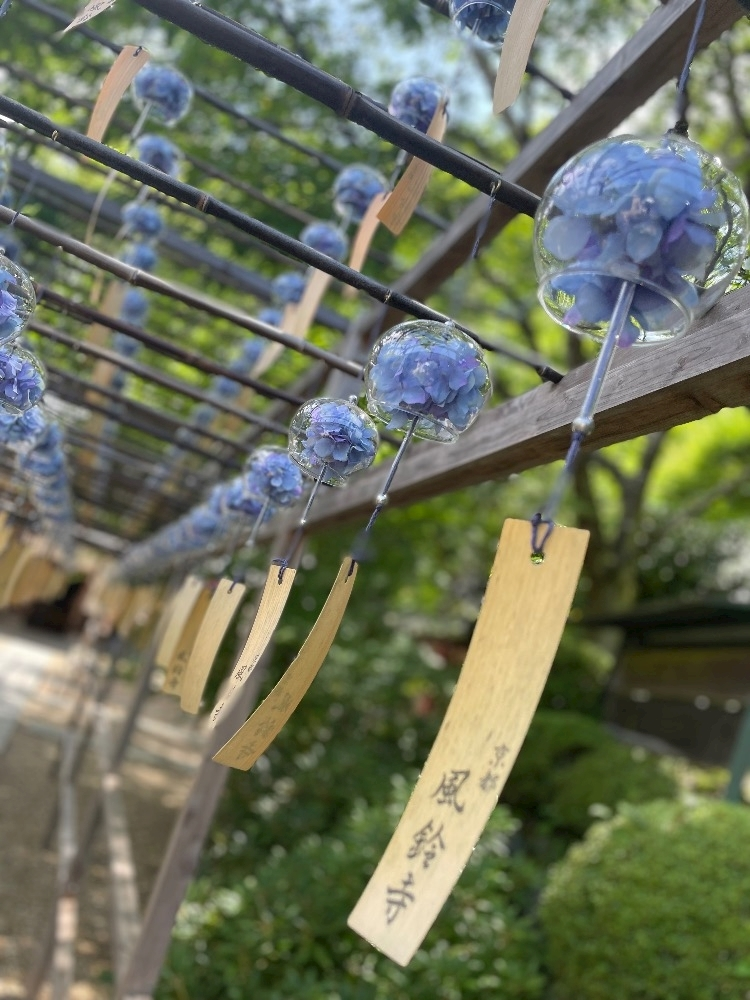 神崎 かんな