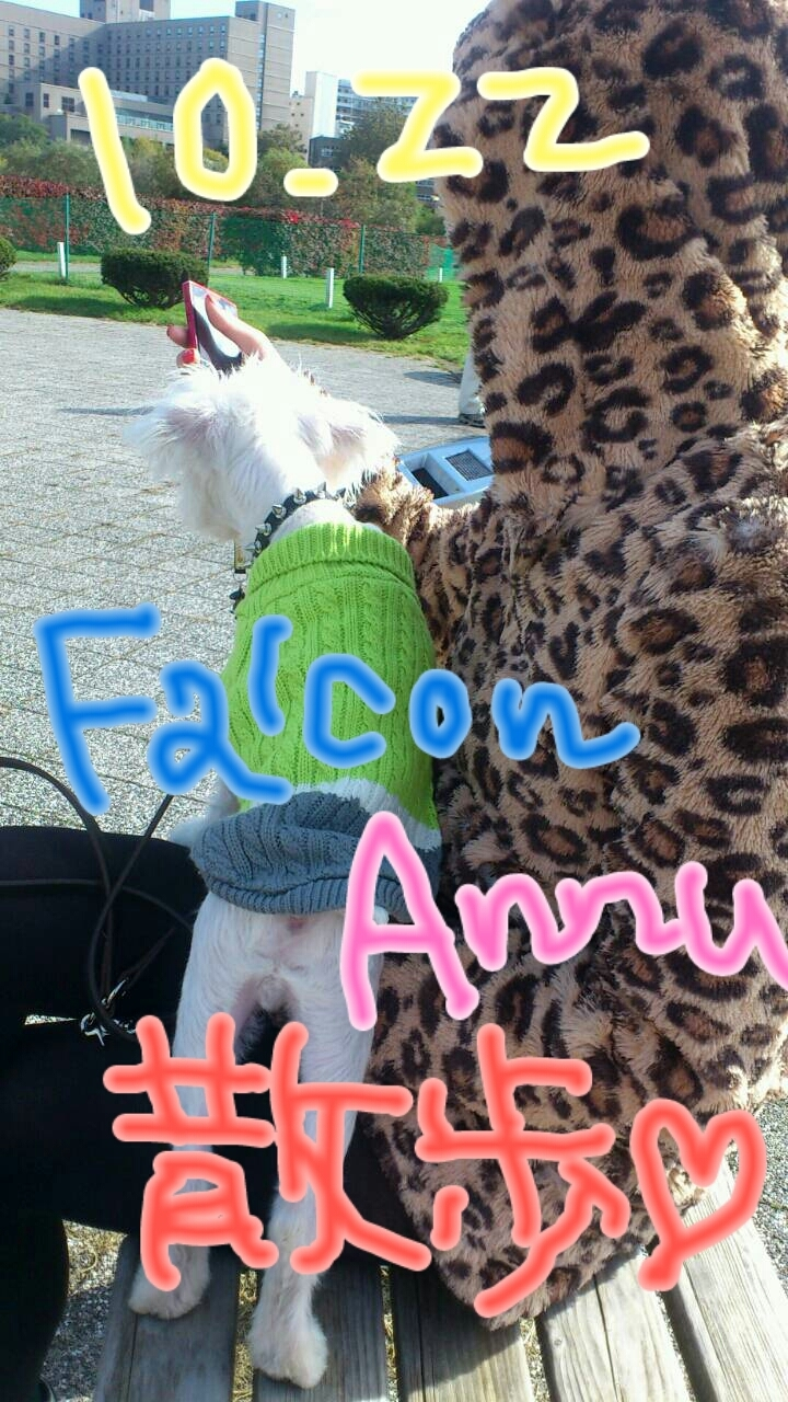 橘 あんな