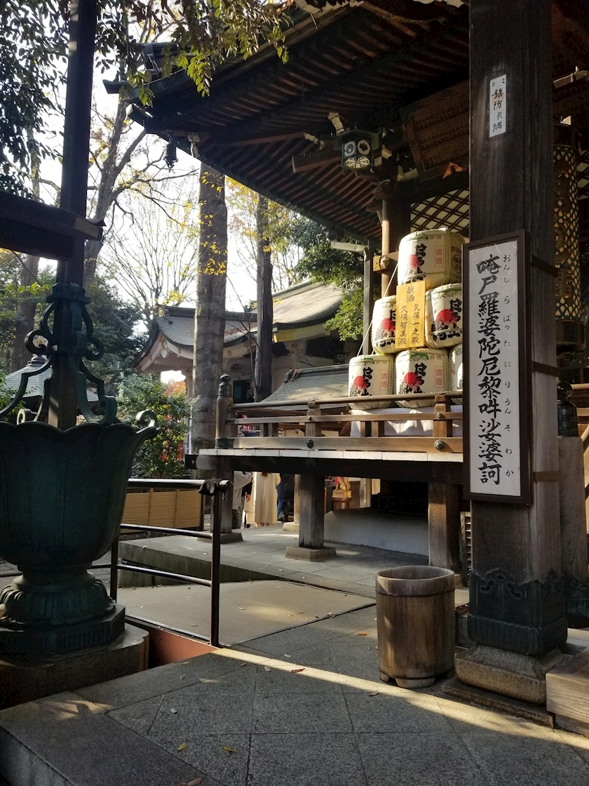 ひなの