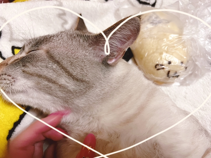 杉谷 ちなみ