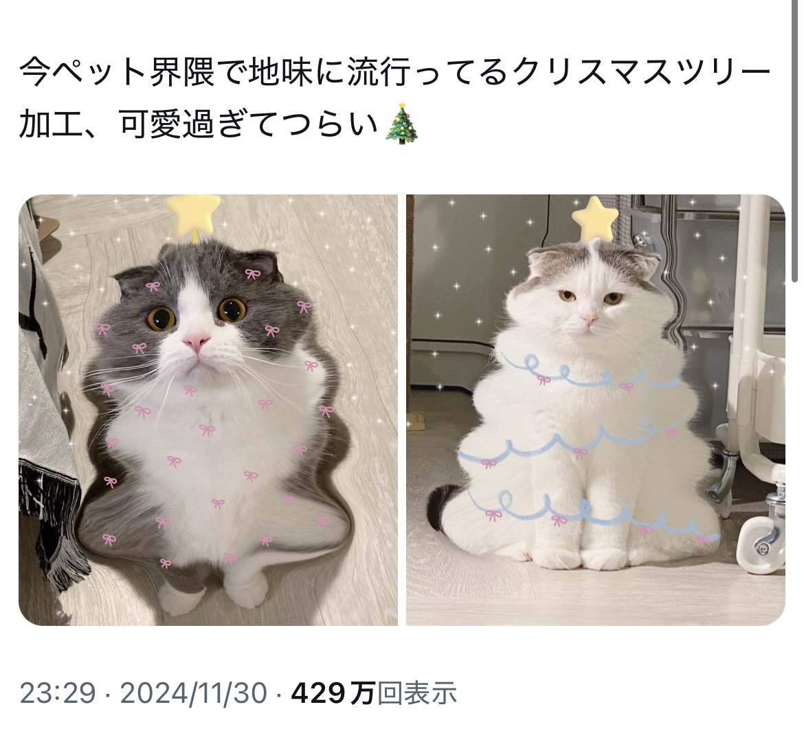 なこ