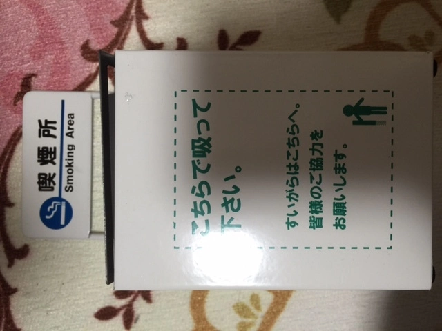 妃 えりか