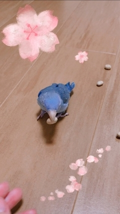 水城 のあ