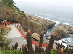 桃瀬 百華