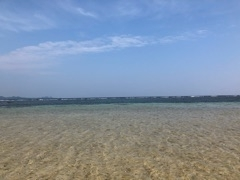 りえ