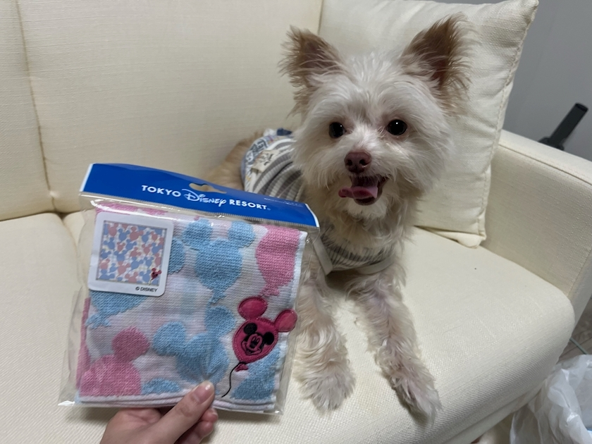 七夕 ゆき