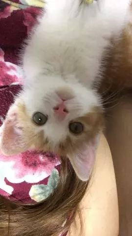 NATSUMI