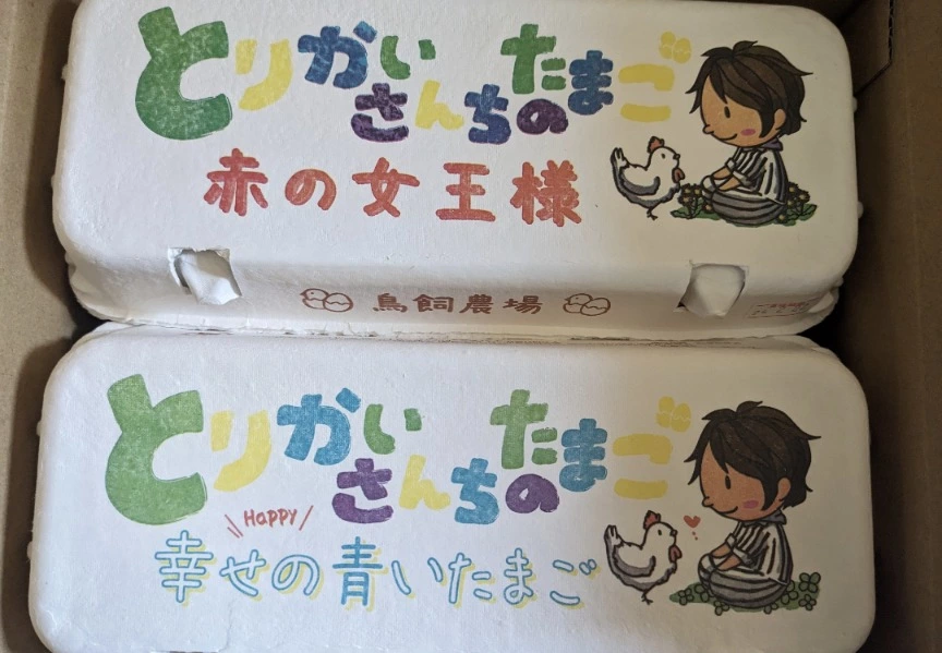 五条 椿