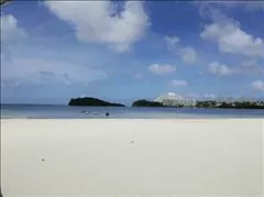 愛羽 仁美