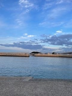 成海 まお