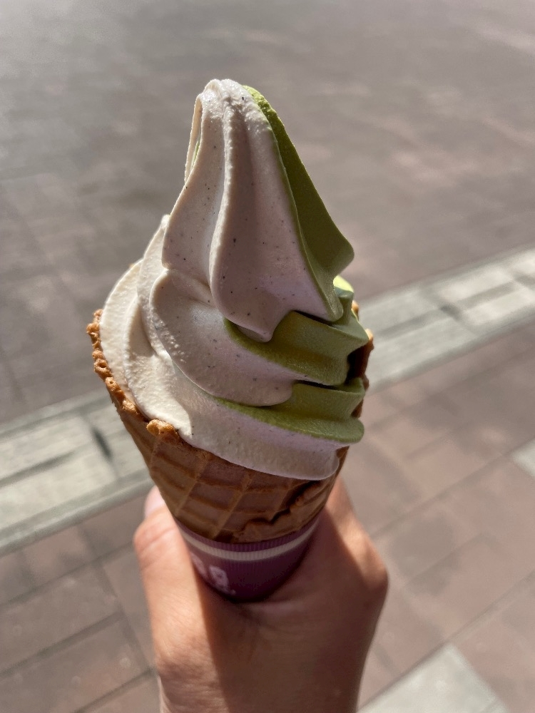 朝倉 しおり