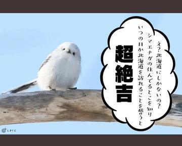 ひな