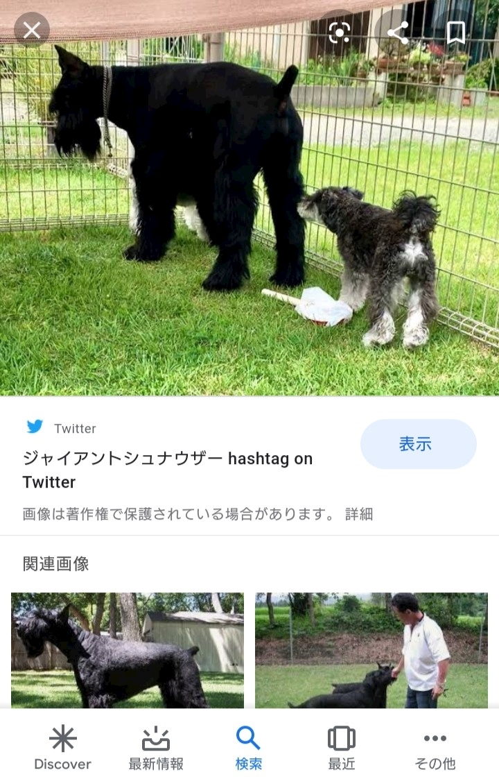 のはら かすみ