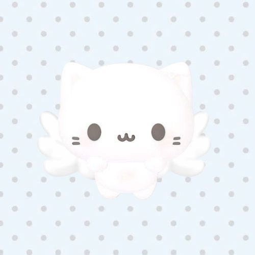 ひめの