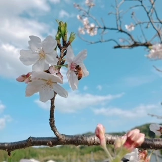 あい