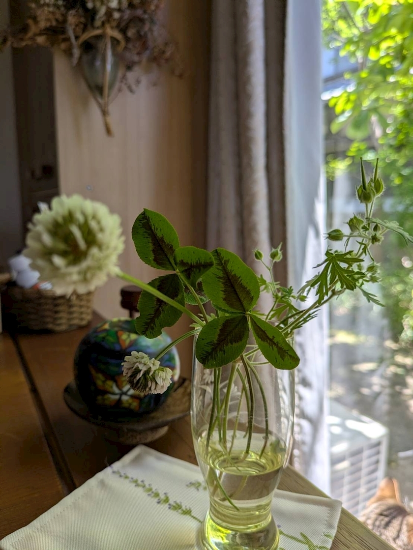 花咲 みらい