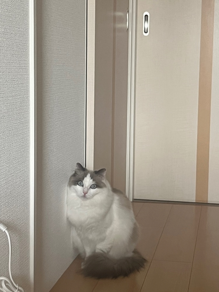 葉月 ひろみ