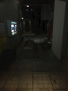 沙良 純