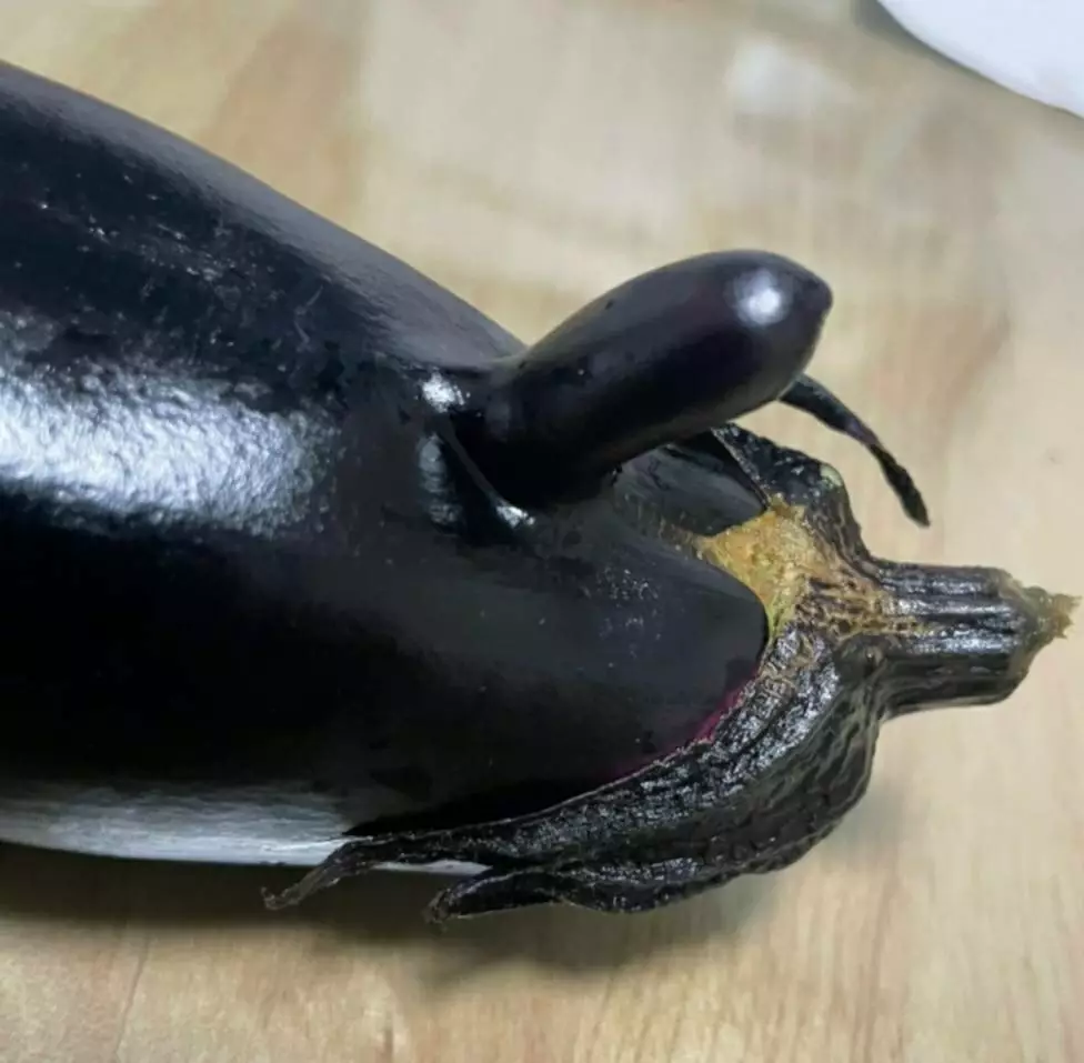 紫音