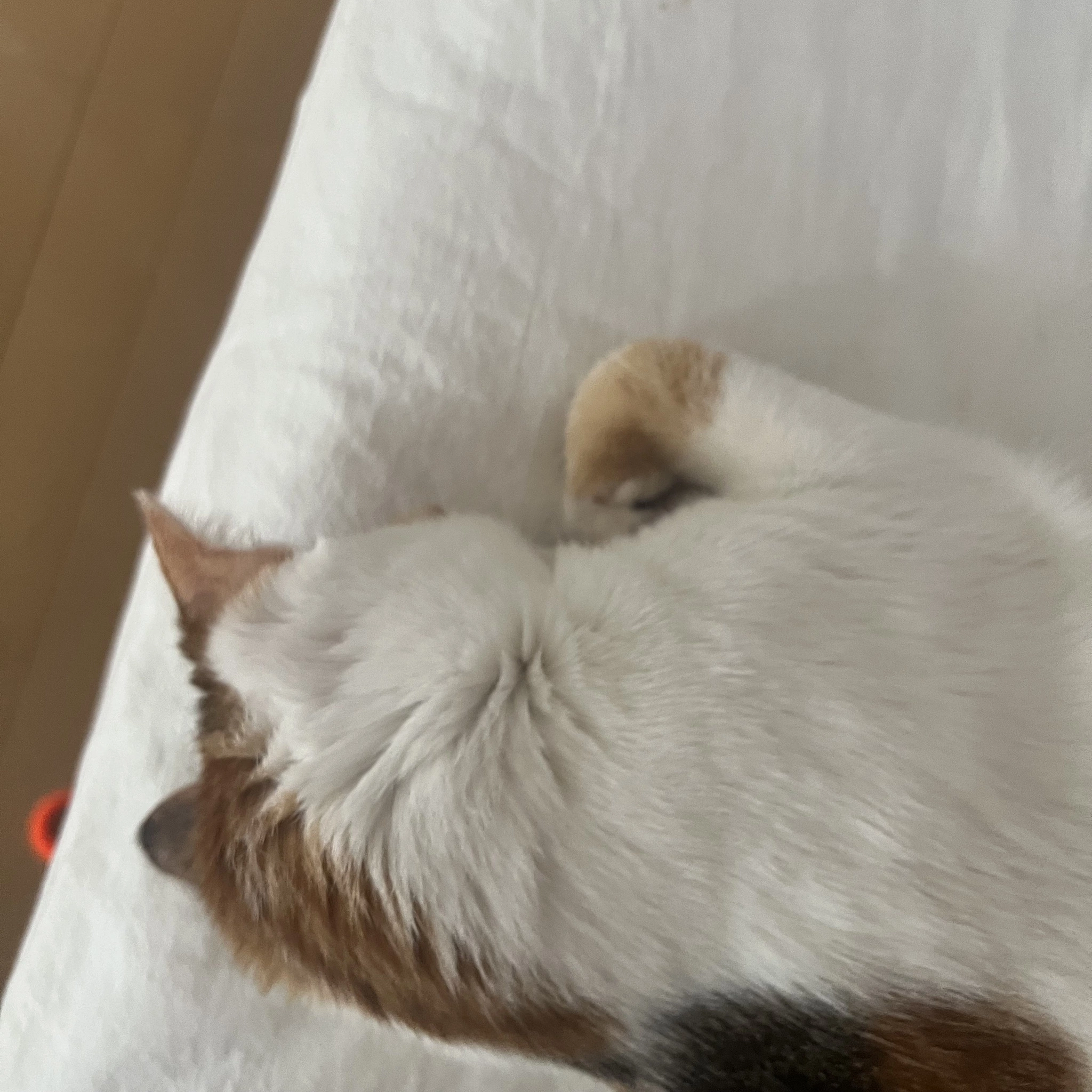 とあ