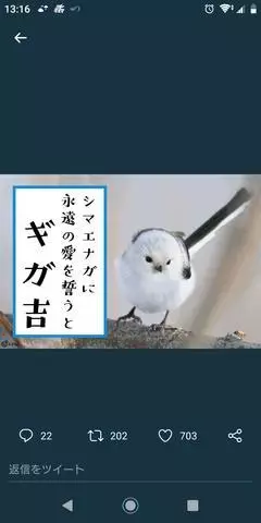 ひな