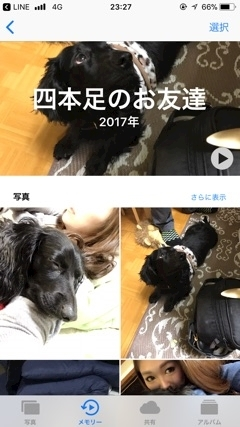 りえ