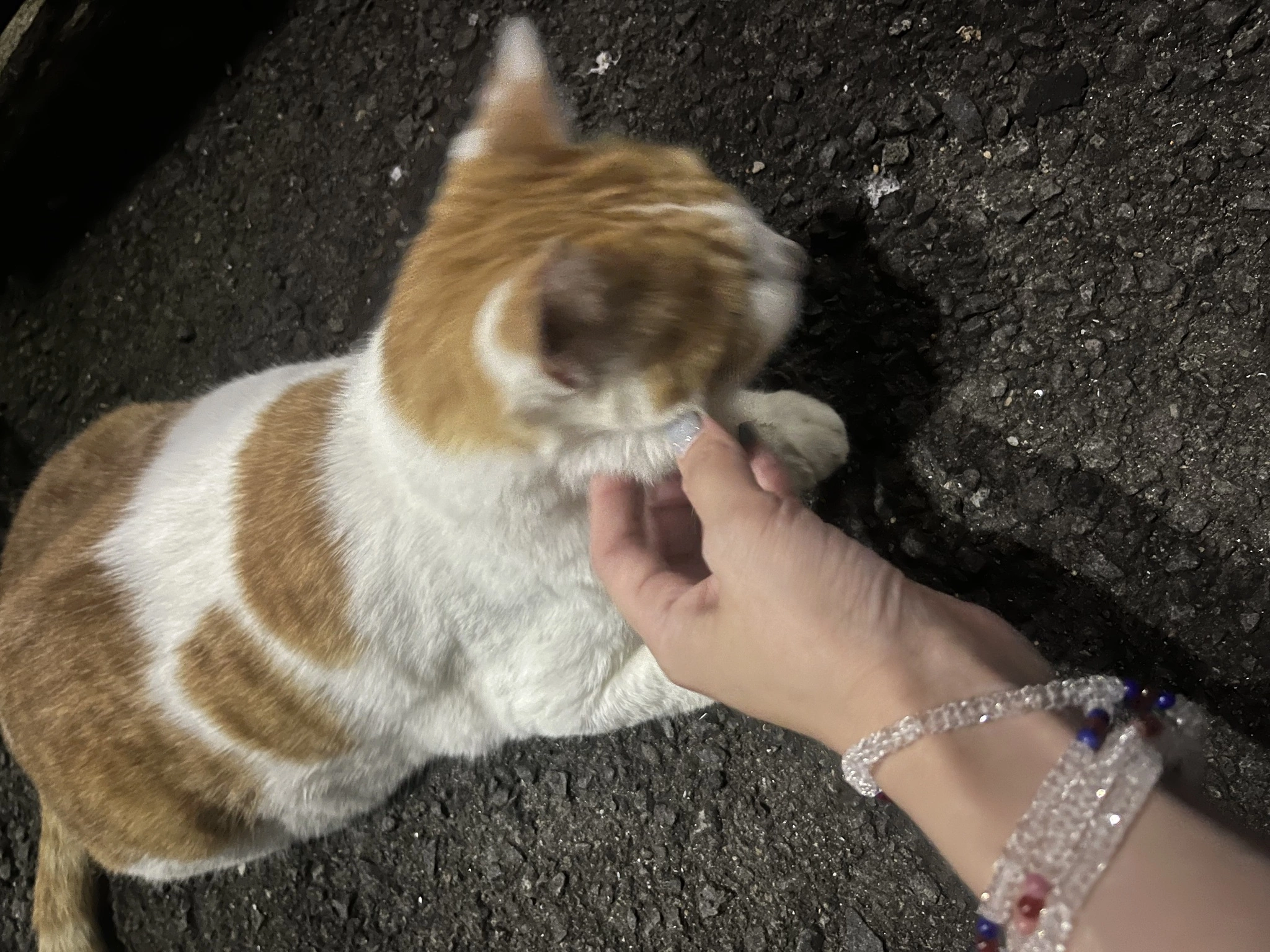 みさ