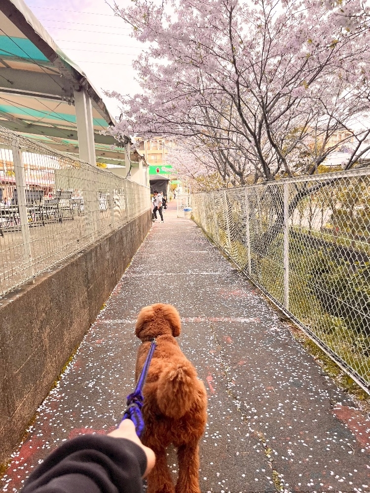 葉月 ひろみ