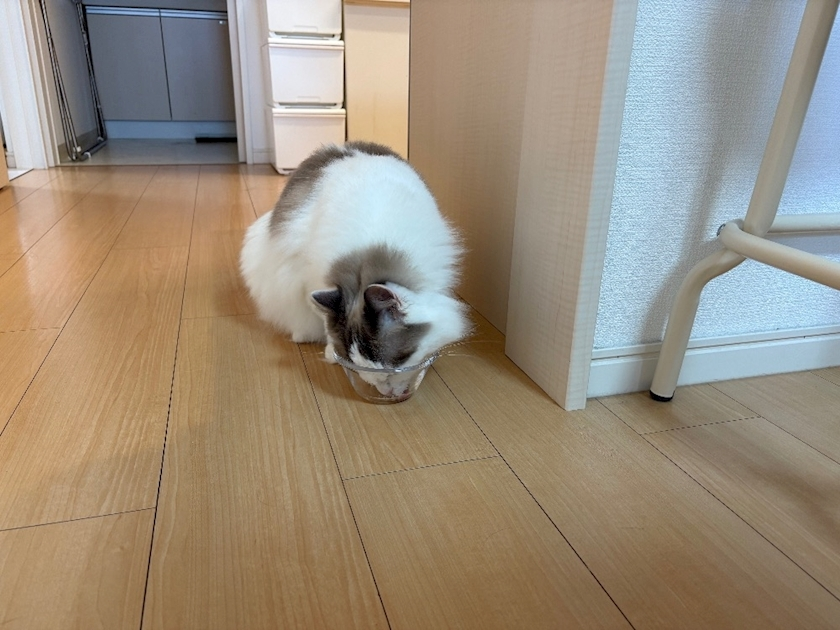 辻 みなみ
