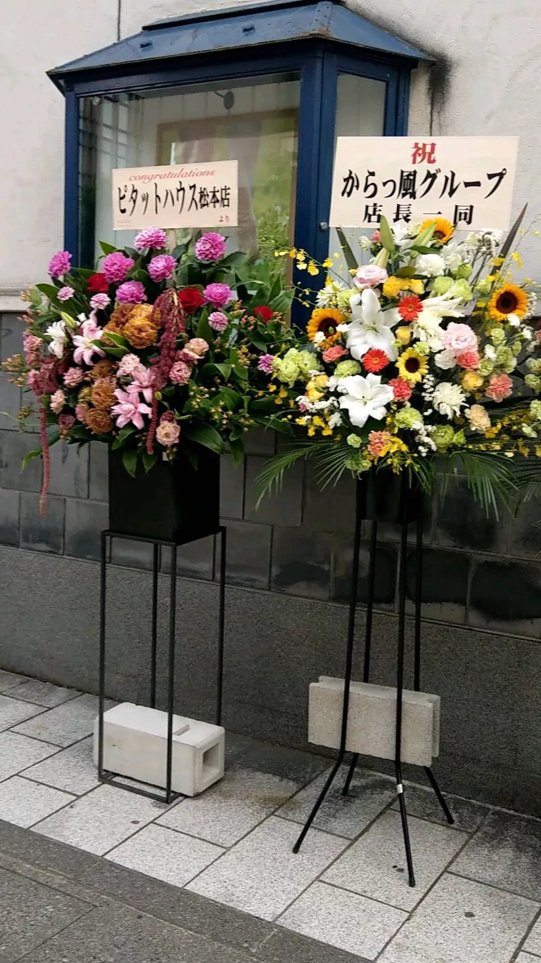 藤咲 あや