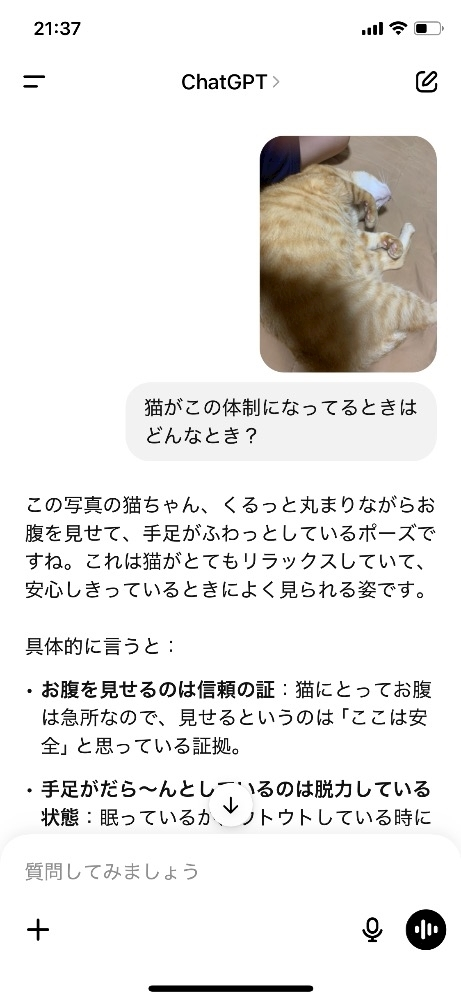 なのか