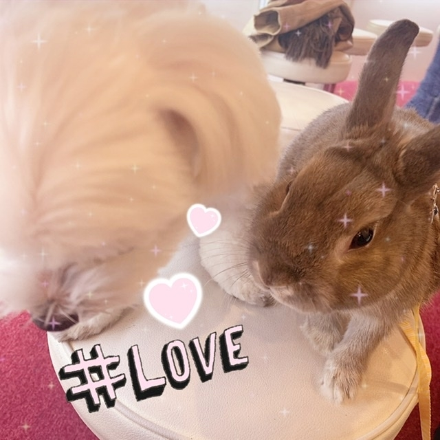 なな