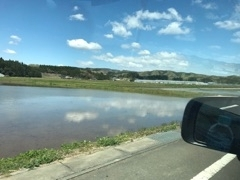 りえ