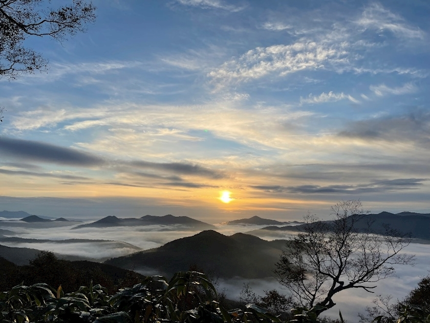 杠 いちか