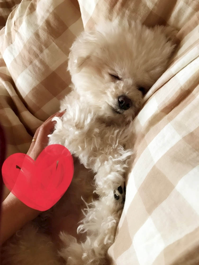 夏樹 あや